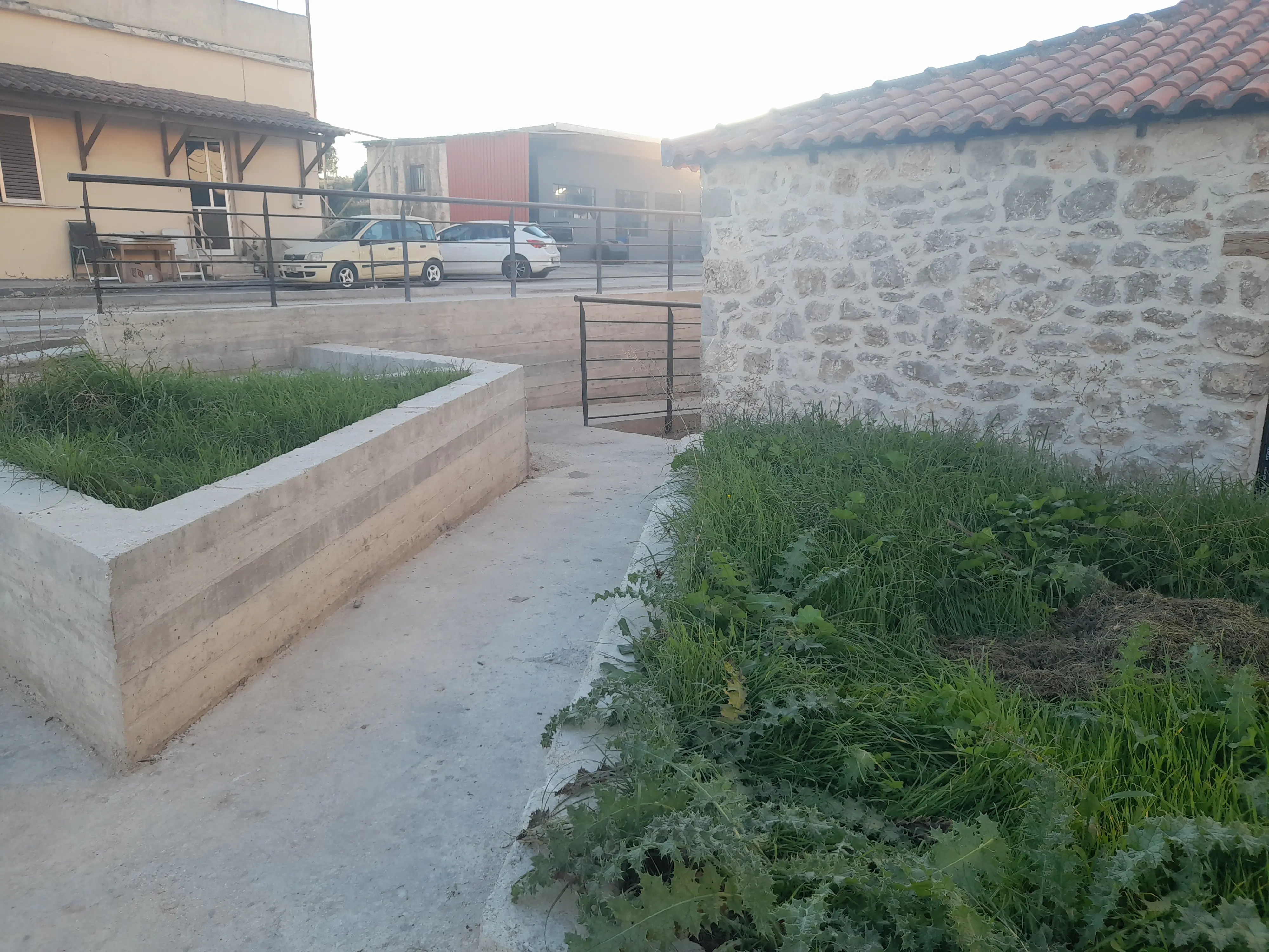 Μελέτη Μουσείου Ελιάς